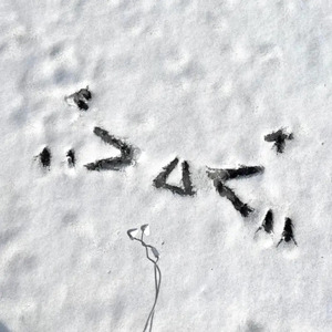 男女午夜24式免费视频
