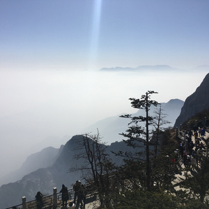 男女午夜24式免费视频
