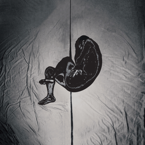 男女午夜24式免费视频
